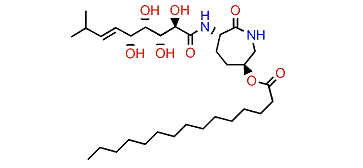 Bengamide A